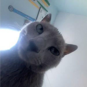 Meet your Posher, Wilson